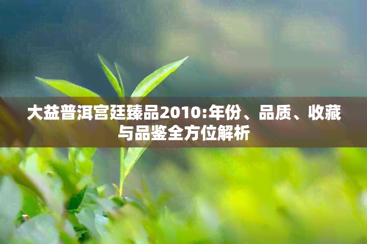 大益普洱宫廷臻品2010:年份、品质、收藏与品鉴全方位解析