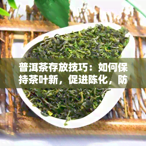 普洱茶存放技巧：如何保持茶叶新，促进陈化，防止霉变，推荐使用紫砂缸。