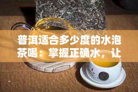 普洱适合多少度的水泡茶喝：掌握正确水，让普洱茶更美味