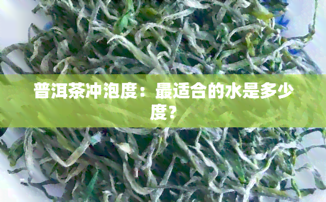 普洱茶冲泡度：最适合的水是多少度？