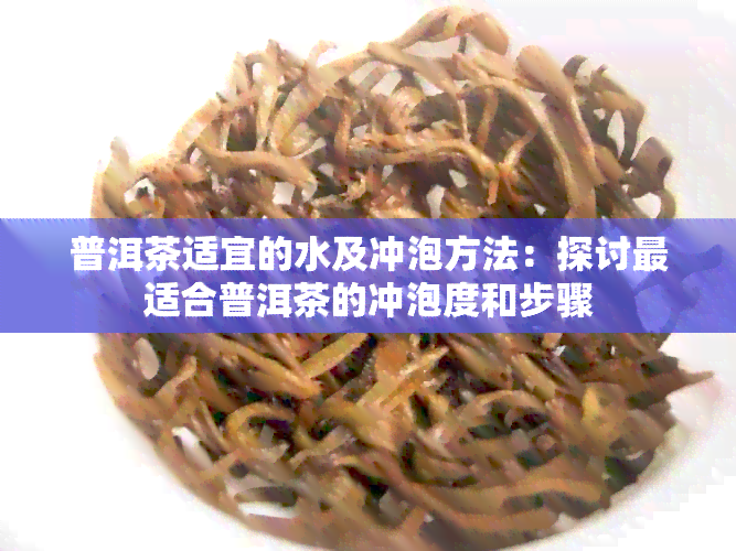 普洱茶适宜的水及冲泡方法：探讨最适合普洱茶的冲泡度和步骤