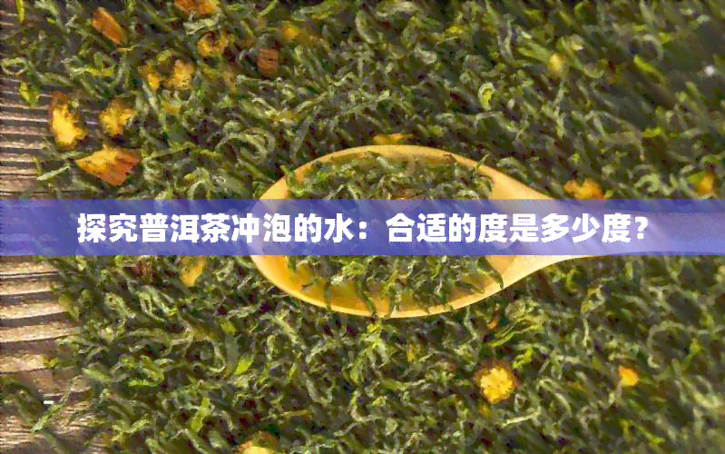 探究普洱茶冲泡的水：合适的度是多少度？