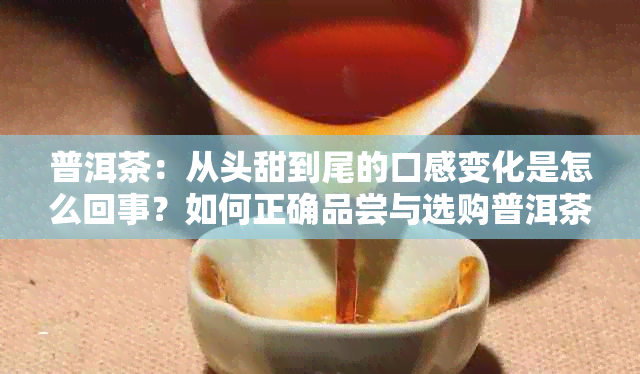 普洱茶：从头甜到尾的口感变化是怎么回事？如何正确品尝与选购普洱茶？