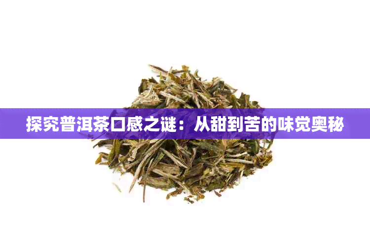 探究普洱茶口感之谜：从甜到苦的味觉奥秘