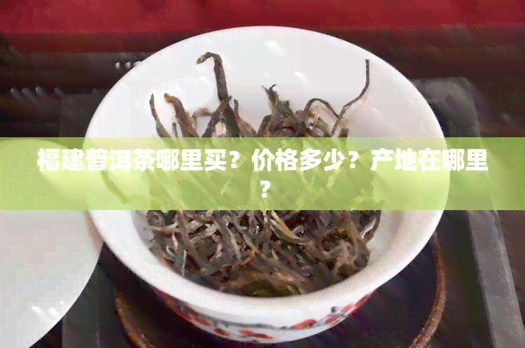 福建普洱茶哪里买？价格多少？产地在哪里？