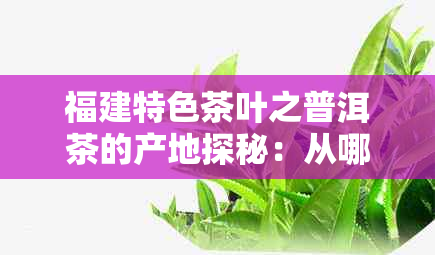 福建特色茶叶之普洱茶的产地探秘：从哪里寻找到最正宗的味道？