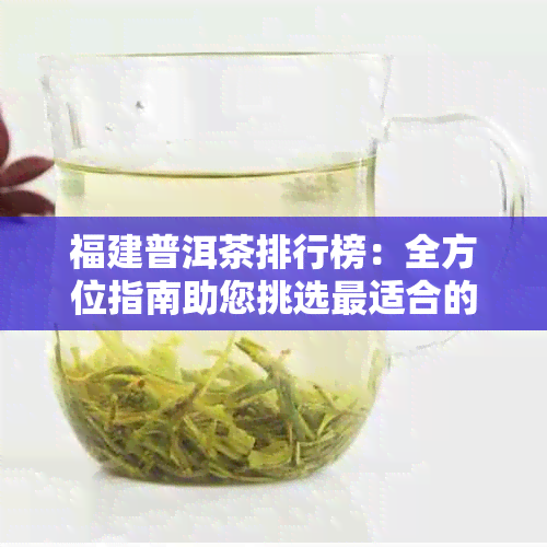 福建普洱茶排行榜：全方位指南助您挑选最适合的茶叶