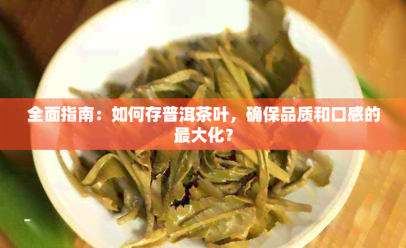 全面指南：如何存普洱茶叶，确保品质和口感的更大化？