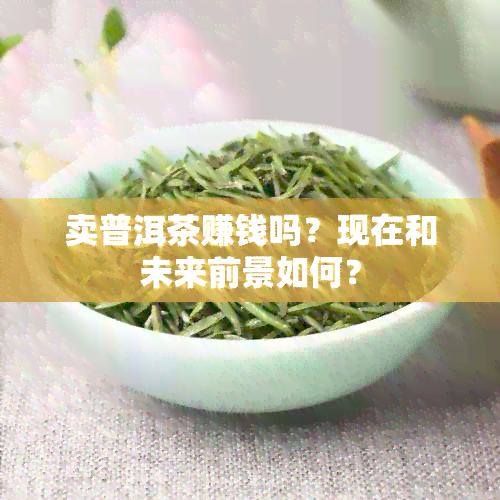 卖普洱茶赚钱吗？现在和未来前景如何？