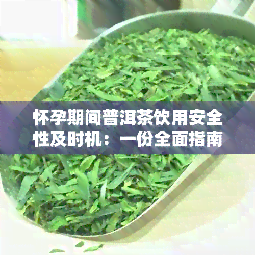 怀孕期间普洱茶饮用安全性及时机：一份全面指南