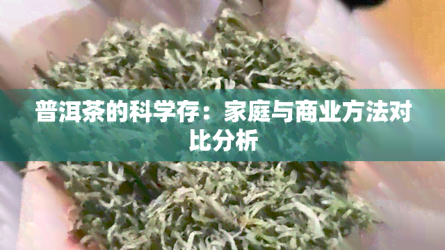 普洱茶的科学存：家庭与商业方法对比分析