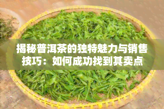 揭秘普洱茶的独特魅力与销售技巧：如何成功找到其卖点