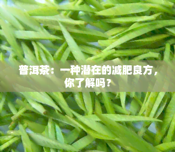 普洱茶：一种潜在的减肥良方，你了解吗？