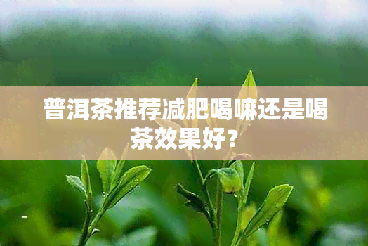 普洱茶推荐减肥喝嘛还是喝茶效果好？