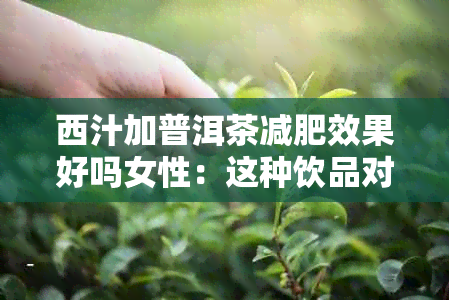 西汁加普洱茶减肥效果好吗女性：这种饮品对于女性来说是否能有效减肥？