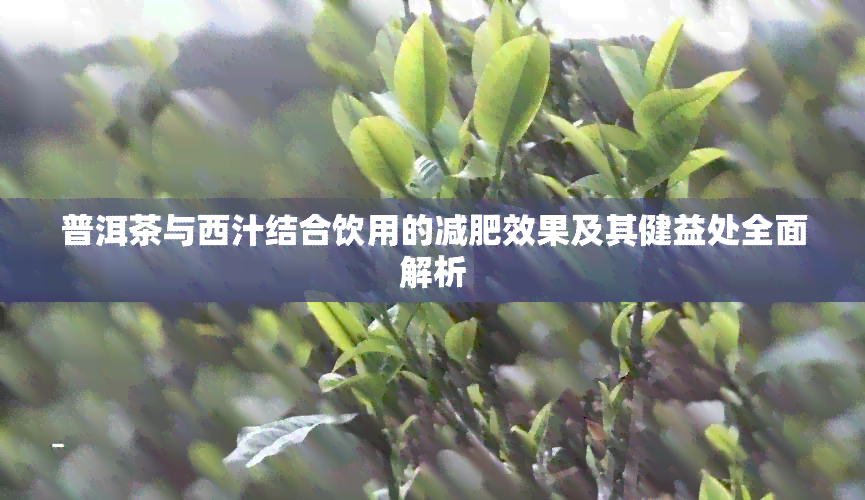 普洱茶与西汁结合饮用的减肥效果及其健益处全面解析