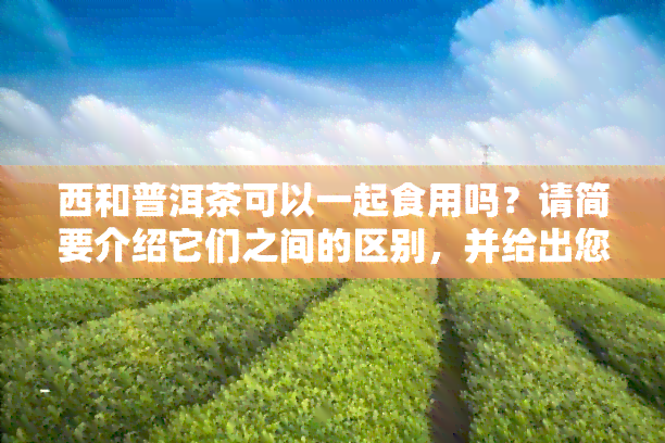 西和普洱茶可以一起食用吗？请简要介绍它们之间的区别，并给出您的建议。