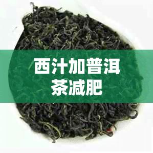 西汁加普洱茶减肥