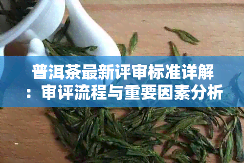 普洱茶最新评审标准详解：审评流程与重要因素分析