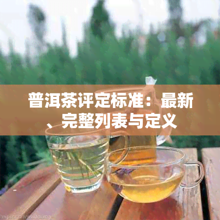 普洱茶评定标准：最新、完整列表与定义