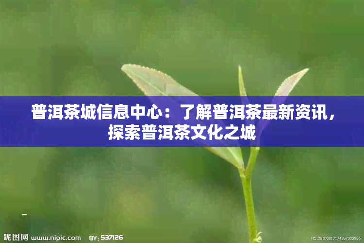 普洱茶城信息中心：了解普洱茶最新资讯，探索普洱茶文化之城