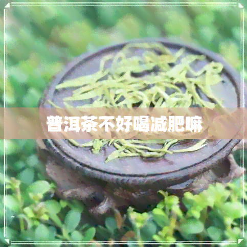 普洱茶不好喝减肥嘛