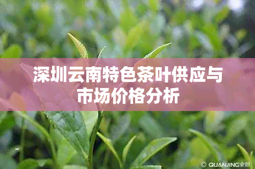 深圳云南特色茶叶供应与市场价格分析