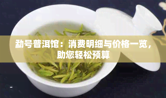 勐号普洱馆：消费明细与价格一览，助您轻松预算