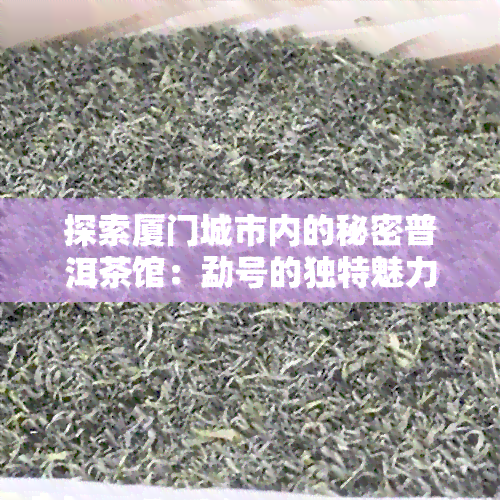 探索厦门城市内的秘密普洱茶馆：勐号的独特魅力