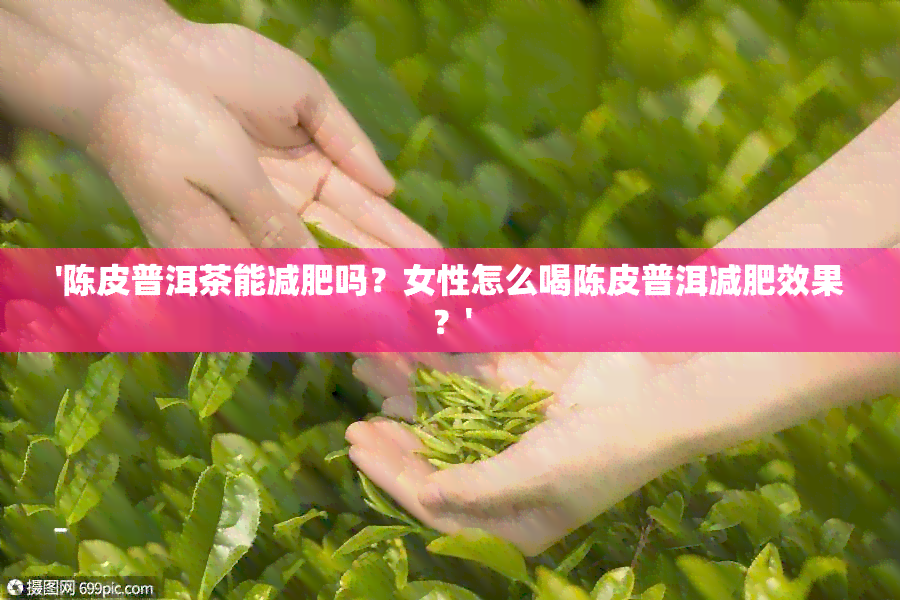 '陈皮普洱茶能减肥吗？女性怎么喝陈皮普洱减肥效果？'