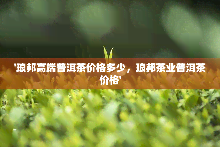 '琅邦高端普洱茶价格多少，琅邦茶业普洱茶价格'