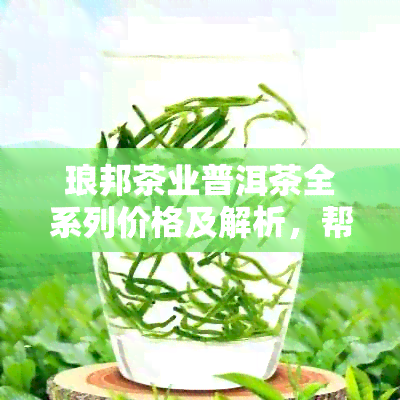 琅邦茶业普洱茶全系列价格及解析，帮助您了解不同款式的价格与品质