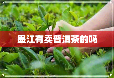 墨江有卖普洱茶的吗