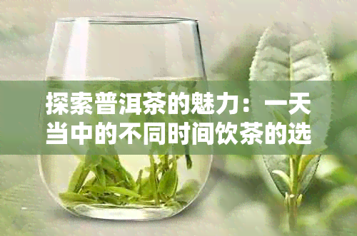 探索普洱茶的魅力：一天当中的不同时间饮茶的选择