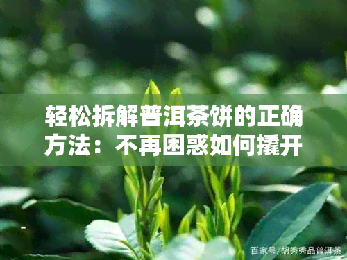 轻松拆解普洱茶饼的正确方法：不再困惑如何撬开普洱茶