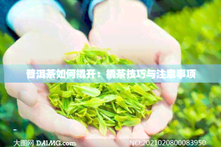 普洱茶如何撬开：撬茶技巧与注意事项