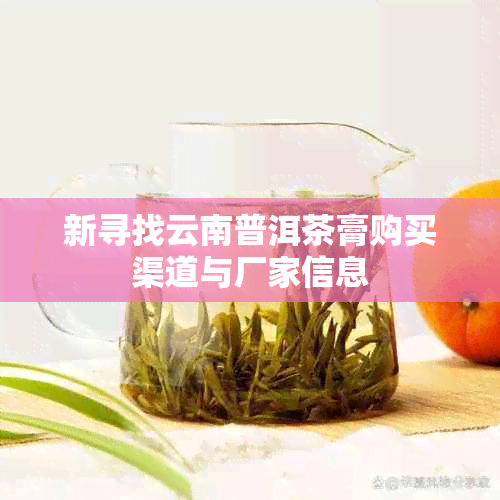 新寻找云南普洱茶膏购买渠道与厂家信息