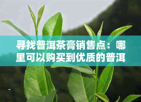 寻找普洱茶膏销售点：哪里可以购买到优质的普洱茶膏？