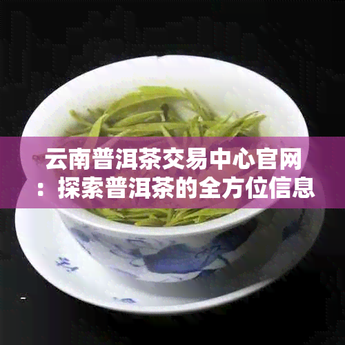 云南普洱茶交易中心官网：探索普洱茶的全方位信息、交易与品鉴体验