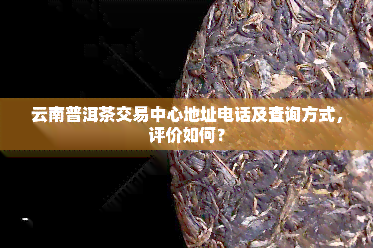 云南普洱茶交易中心地址电话及查询方式，评价如何？