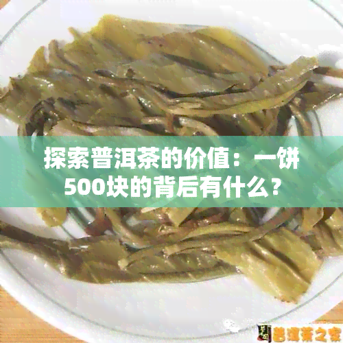 探索普洱茶的价值：一饼500块的背后有什么？