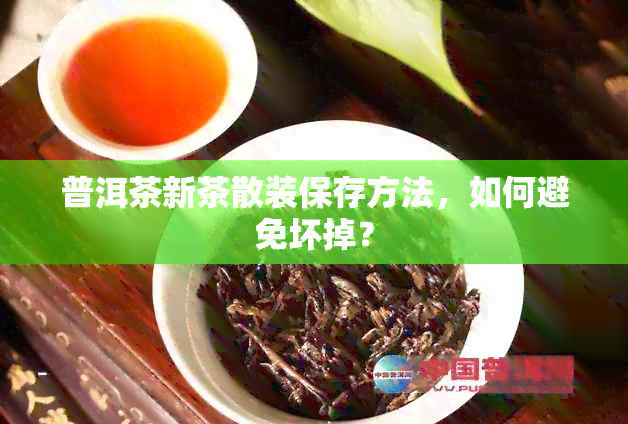 普洱茶新茶散装保存方法，如何避免坏掉？