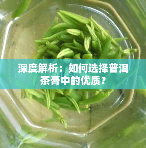 深度解析：如何选择普洱茶膏中的优质？