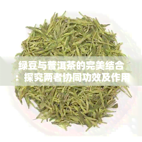 绿豆与普洱茶的完美结合：探究两者协同功效及作用，助你打造健生活