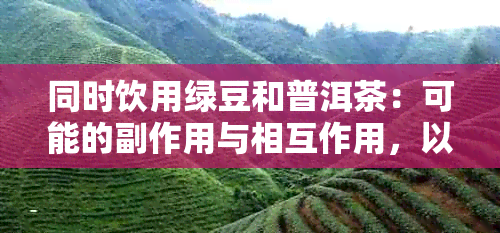 同时饮用绿豆和普洱茶：可能的副作用与相互作用，以及正确的饮用方法