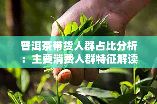 普洱茶带货人群占比分析：主要消费人群特征解读