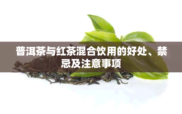 普洱茶与红茶混合饮用的好处、禁忌及注意事项