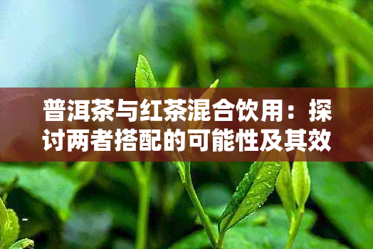 普洱茶与红茶混合饮用：探讨两者搭配的可能性及其效果