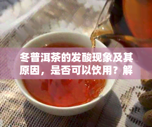 冬普洱茶的发酸现象及其原因，是否可以饮用？解答您的所有疑问！