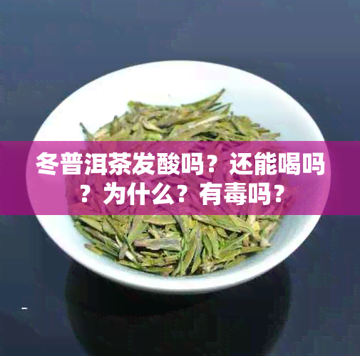 冬普洱茶发酸吗？还能喝吗？为什么？有吗？